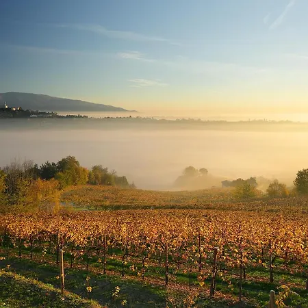 Del Poggio Prosecco Bike Сан-Пьетро-ди-Фелетто